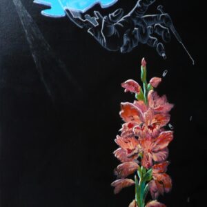 Gladiola