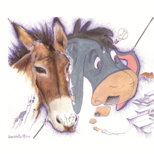 Burro