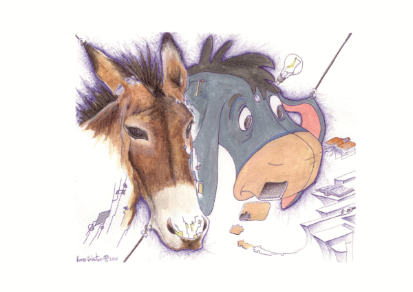 Burro
