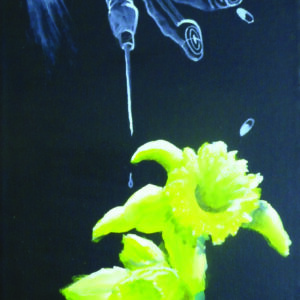 Daffodil